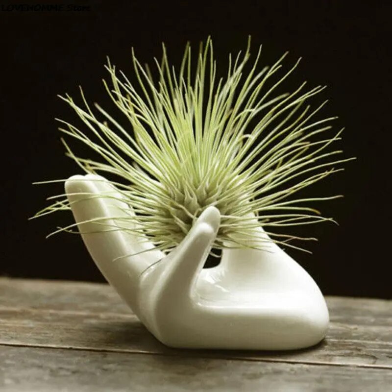 Garden Ornaments Air Plant Ceramic Hand Tabletop Tillandsia Holder Miniature Gardening Decoration